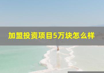 加盟投资项目5万块怎么样