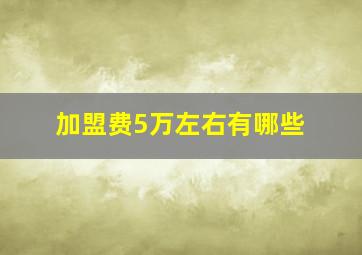 加盟费5万左右有哪些