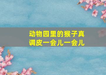 动物园里的猴子真调皮一会儿一会儿