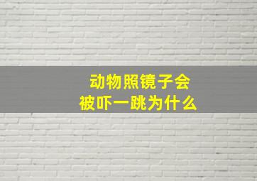 动物照镜子会被吓一跳为什么