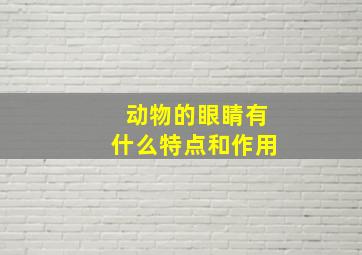 动物的眼睛有什么特点和作用