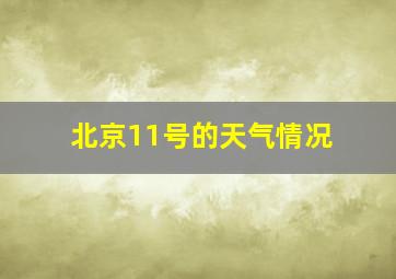 北京11号的天气情况