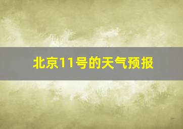 北京11号的天气预报