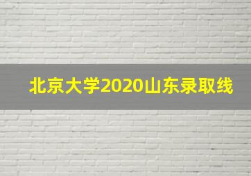 北京大学2020山东录取线