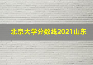 北京大学分数线2021山东