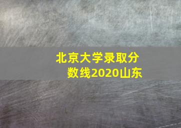 北京大学录取分数线2020山东