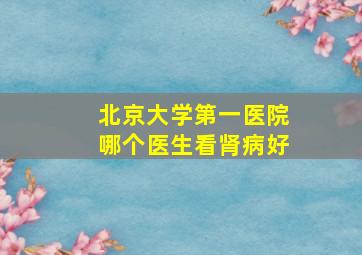 北京大学第一医院哪个医生看肾病好