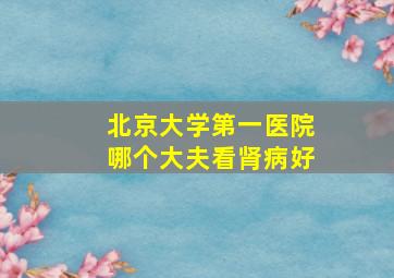 北京大学第一医院哪个大夫看肾病好