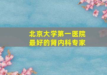 北京大学第一医院最好的肾内科专家