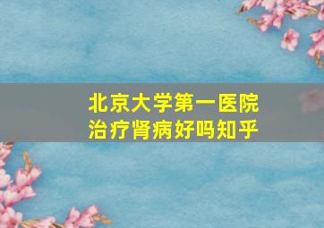 北京大学第一医院治疗肾病好吗知乎