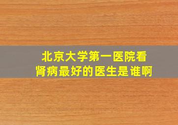 北京大学第一医院看肾病最好的医生是谁啊