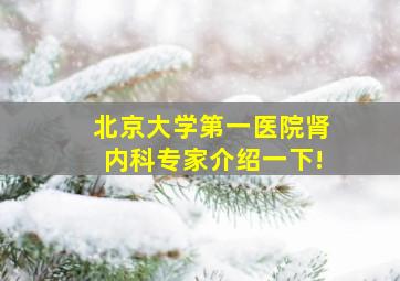 北京大学第一医院肾内科专家介绍一下!