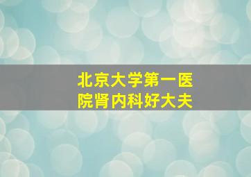 北京大学第一医院肾内科好大夫