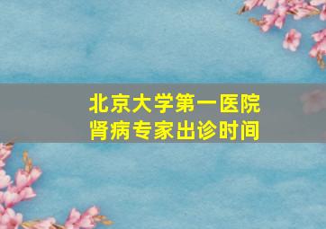 北京大学第一医院肾病专家出诊时间