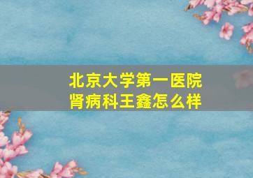 北京大学第一医院肾病科王鑫怎么样