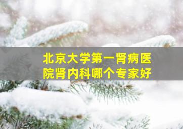 北京大学第一肾病医院肾内科哪个专家好