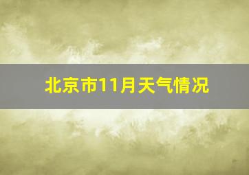 北京市11月天气情况