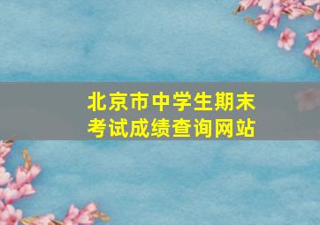 北京市中学生期末考试成绩查询网站