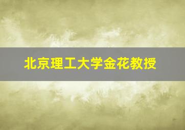 北京理工大学金花教授