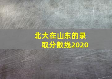 北大在山东的录取分数线2020