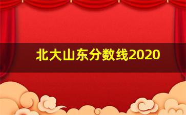 北大山东分数线2020