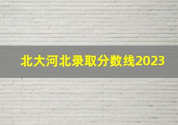 北大河北录取分数线2023