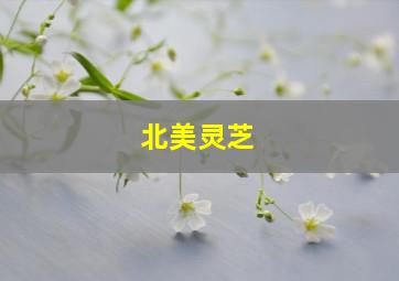 北美灵芝