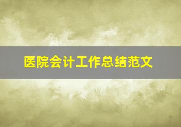 医院会计工作总结范文