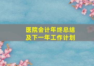 医院会计年终总结及下一年工作计划