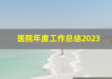 医院年度工作总结2023