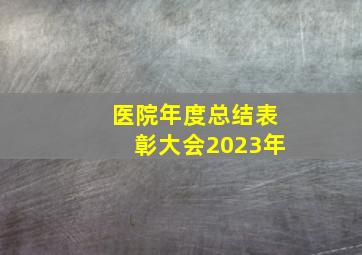 医院年度总结表彰大会2023年