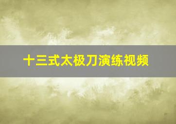 十三式太极刀演练视频