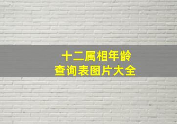 十二属相年龄查询表图片大全