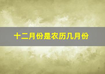 十二月份是农历几月份