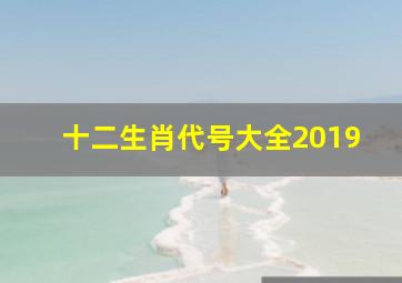 十二生肖代号大全2019