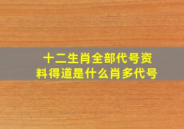 十二生肖全部代号资料得道是什么肖多代号