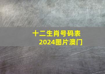 十二生肖号码表2024图片澳门