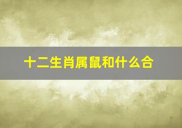 十二生肖属鼠和什么合