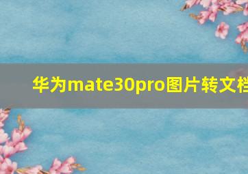 华为mate30pro图片转文档