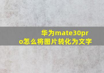 华为mate30pro怎么将图片转化为文字