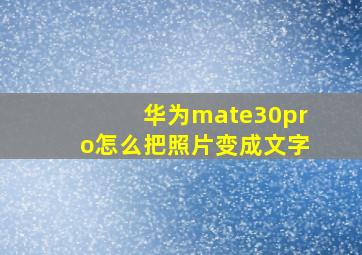 华为mate30pro怎么把照片变成文字