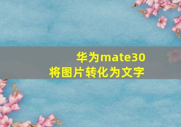 华为mate30将图片转化为文字