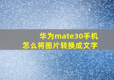 华为mate30手机怎么将图片转换成文字