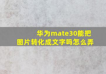 华为mate30能把图片转化成文字吗怎么弄