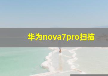 华为nova7pro扫描