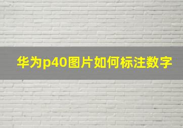 华为p40图片如何标注数字