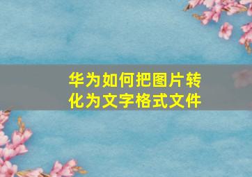 华为如何把图片转化为文字格式文件