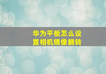 华为平板怎么设置相机镜像翻转