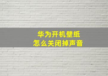 华为开机壁纸怎么关闭掉声音