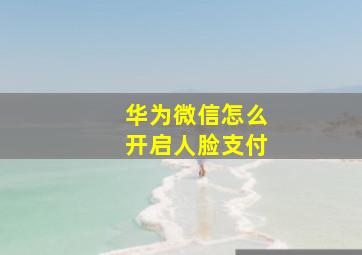 华为微信怎么开启人脸支付